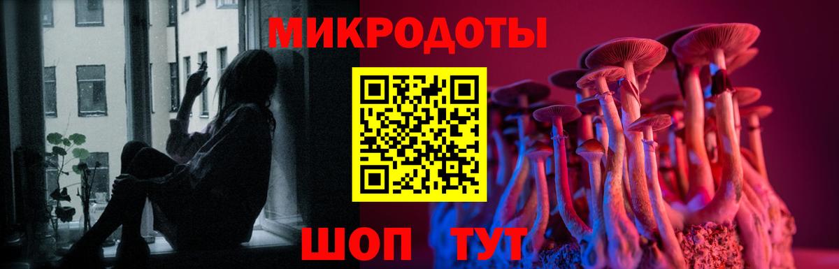 Щёкино  Псилоцибиновые грибы Psilocybe  Вход с VPN  Псилоцибиновые грибы MAGIC MUSHROOMS 